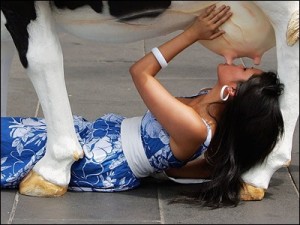 Milk Does a Body Good... Why-Dairy-Is-Bad-For-Us